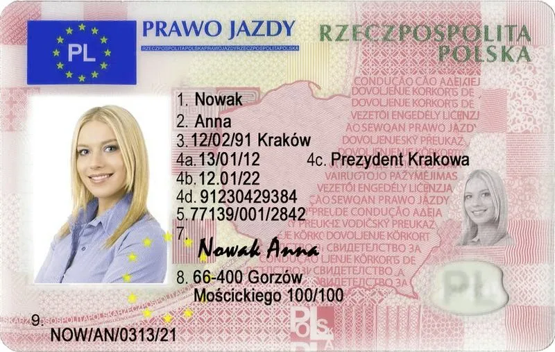 Czy za rower mogą zabrać prawo jazdy — kiedy to grozi i jak się bronić