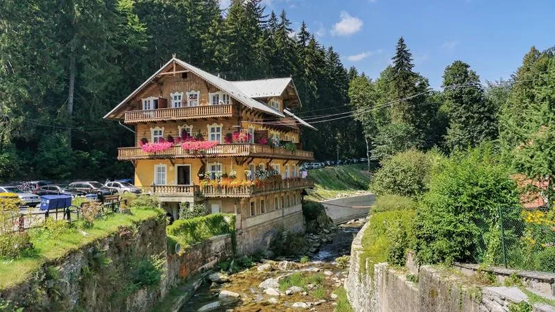 Odkryj piękno Międzygórza na najlepszych trasach rowerowych