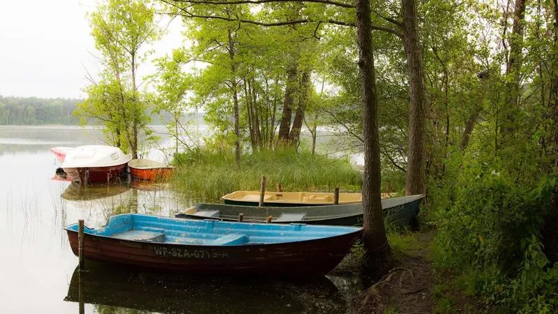 Odkryj urok sierakowskiego parku krajobrazowego na dwóch kółkach: najlepsze trasy rowerowe