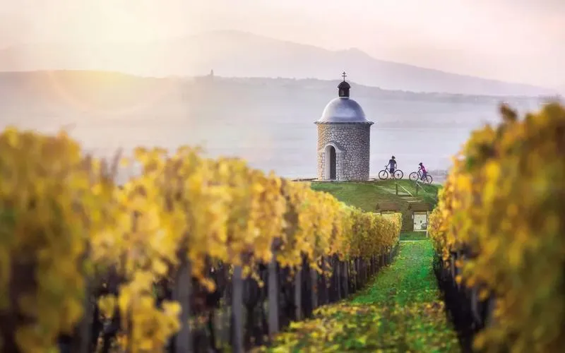 Odkrywaj urok Moraw: najlepsze winnice i trasy rowerowe dla miłośników przygód