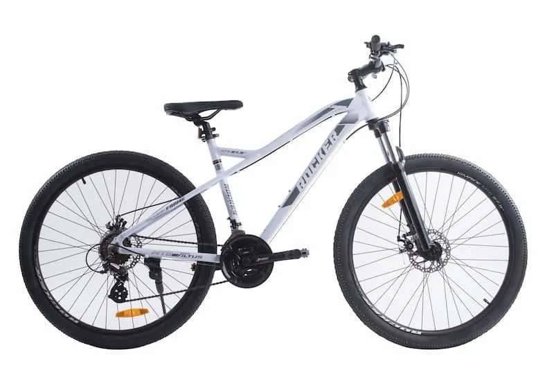 Odkrywamy historię: Jak powstał rower, który zmienił świat mobilności