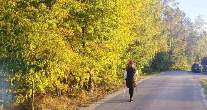 Rower czy nordic walking — co lepsze dla zdrowia i formy?