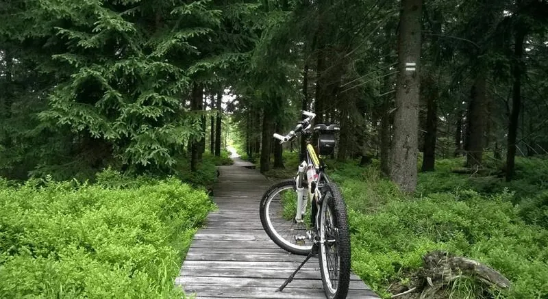 Rowerowe przygody: odkryj najfajniejsze trasy dla dzieci w Karpaczu