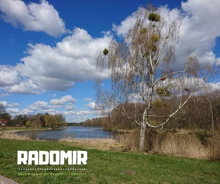 Aktywność fizyczna