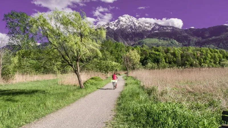 Bezpieczeństwo na rowerze z dziećmi