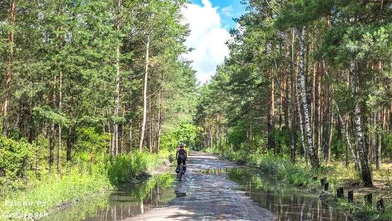 Ekologiczne wycieczki rowerowe