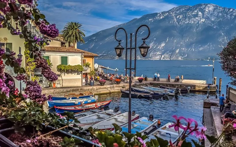 Fauna i flora na trasie rowerowej