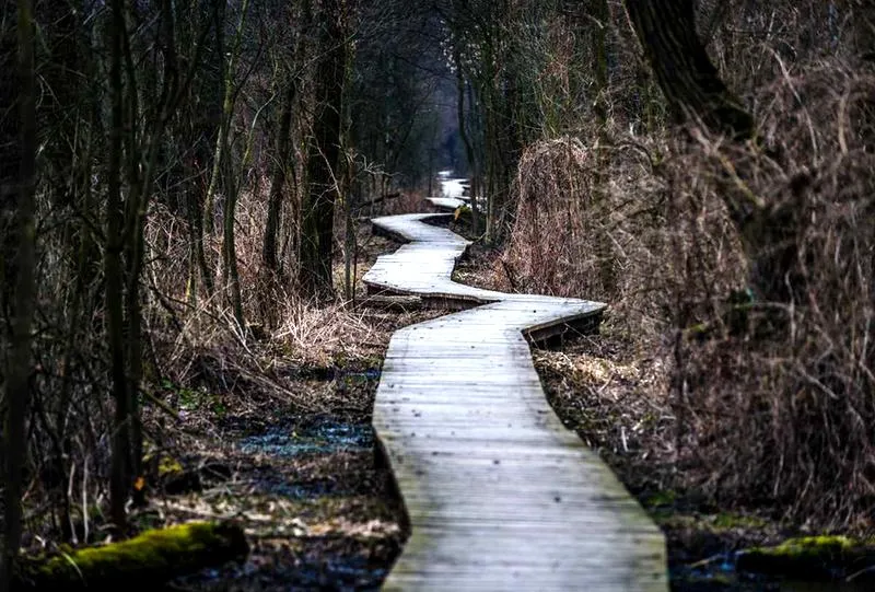 Kampinoski Szlak Rowerowy