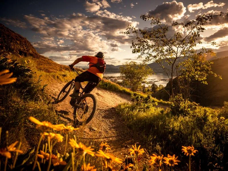 Korzyści zdrowotne jazdy na rowerze