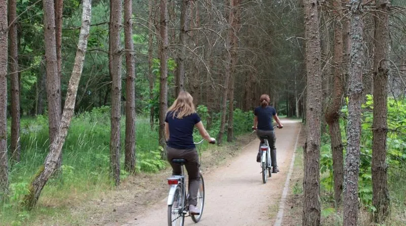 MTB i gravel w Tleniu