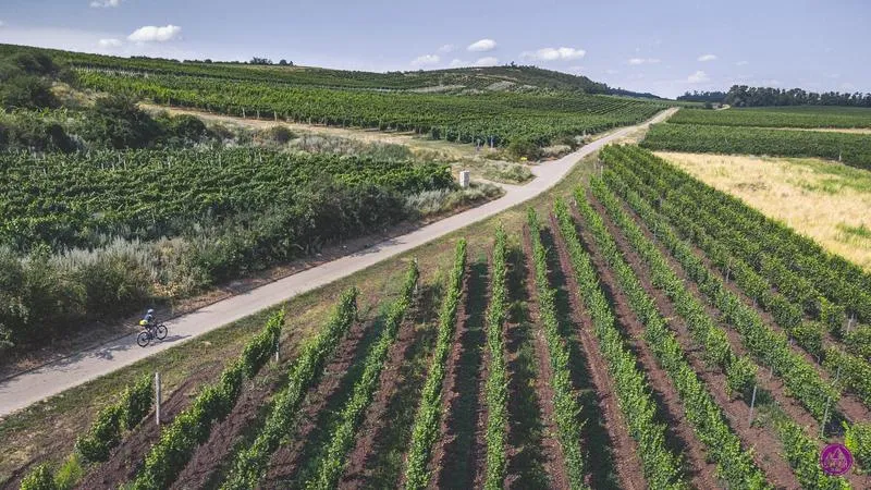 Malownicze krajobrazy