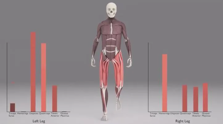 Mięśnie i rehabilitacja