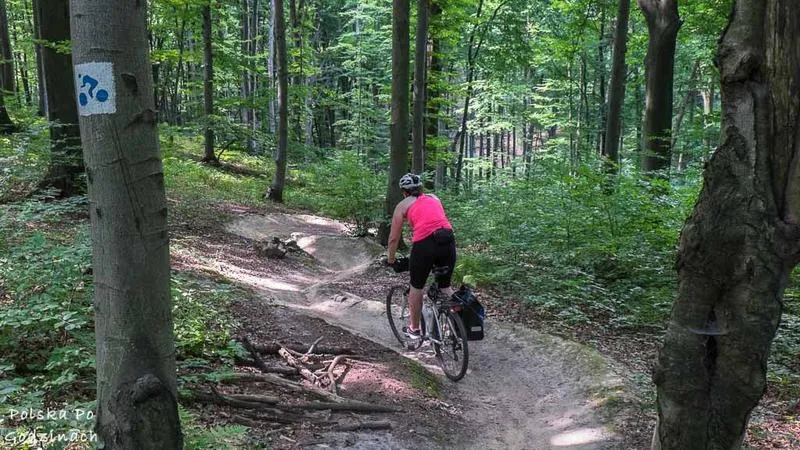 Ścieżki rowerowe nad Wisłą