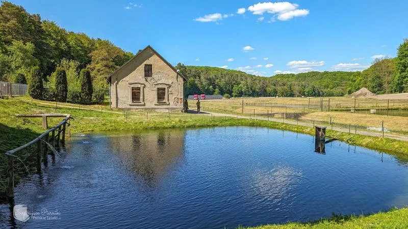 Trasa rowerowa Żarki Złoty Potok