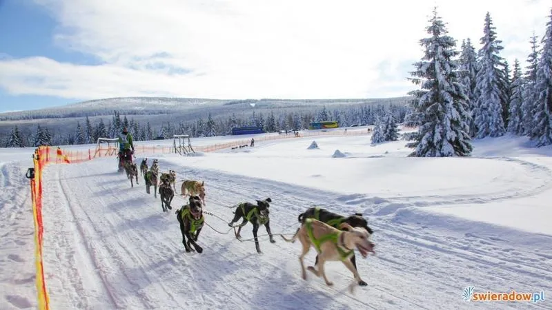 Trasy rowerowe Polana Jakuszycka