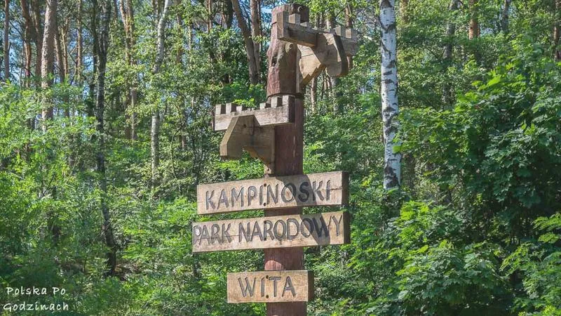 Trasy rowerowe w Puszczy Kampinoskiej