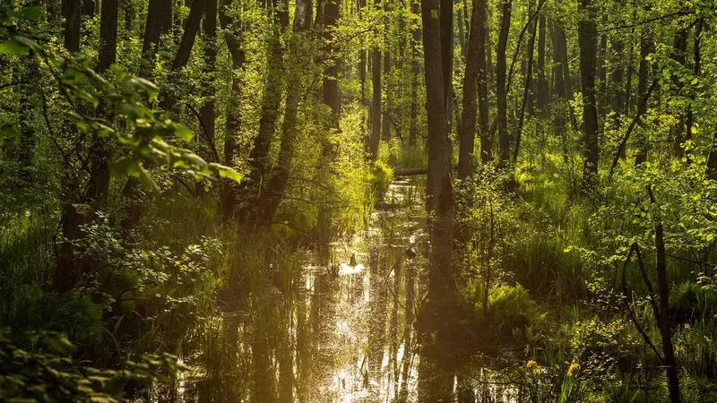 Turystyka rowerowa w parku narodowym